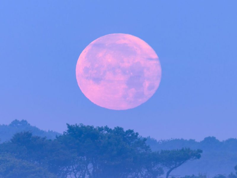 Horoskop: „Pink Moon“ kommt mit geballter Kraft – alle Sternzeichen werden es spüren