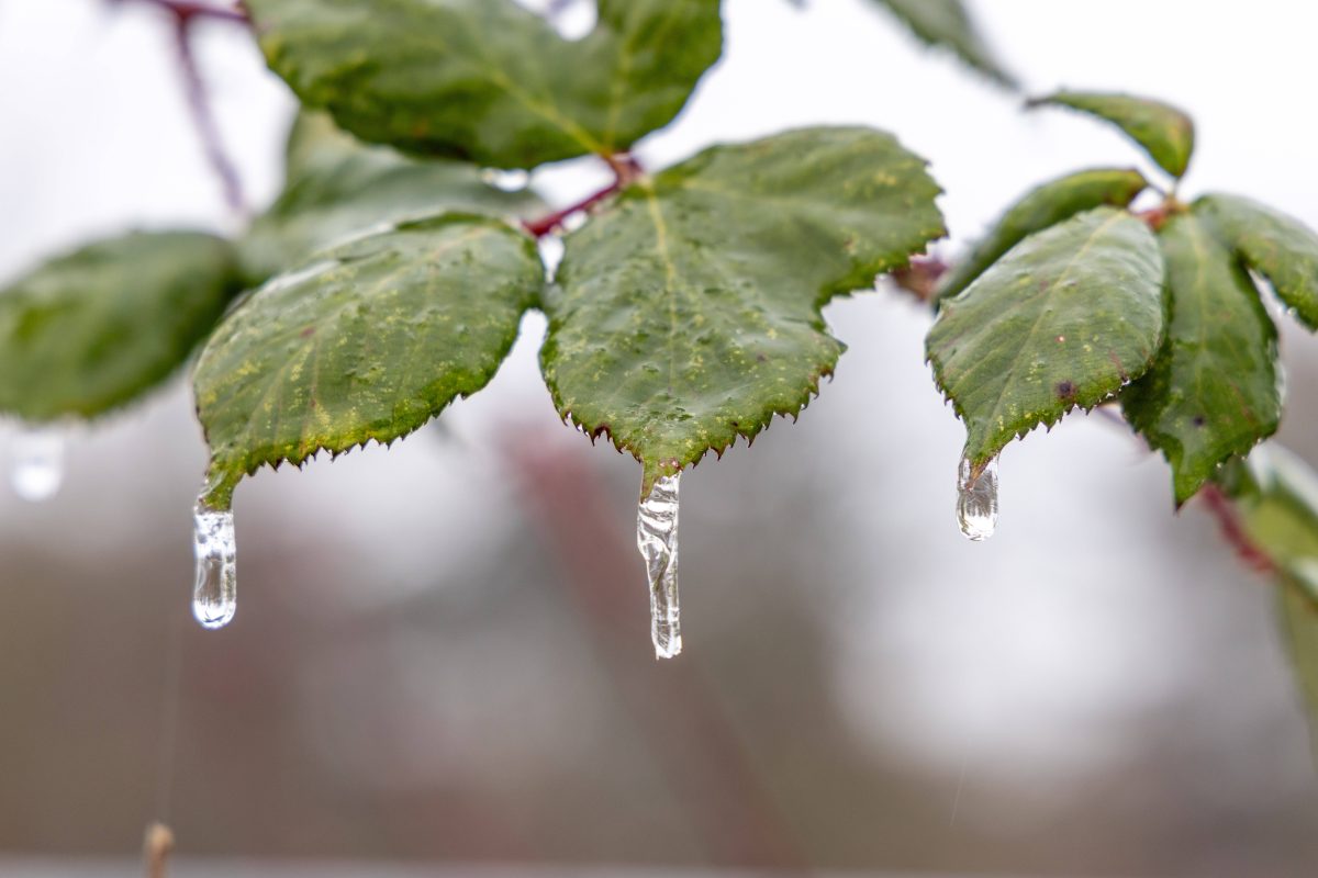 Wetter in NRW: „Hier und da ein Knick“ – Experte mit trauriger Mai-Prognose