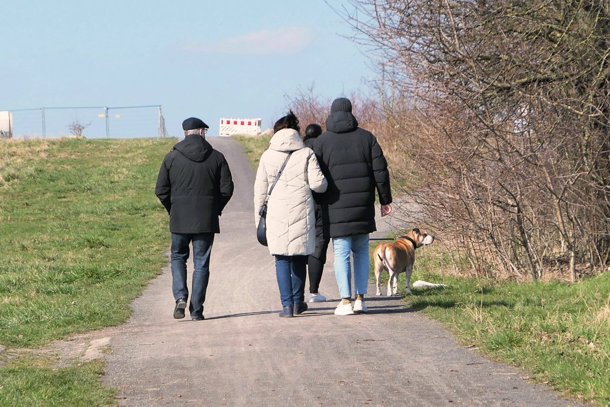 Essen: Hunde-Halter sind nach Spaziergang fassungslos.