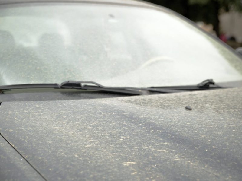 Verkehr: Autos von Saharastaub befreien zerkratzt das Auto
