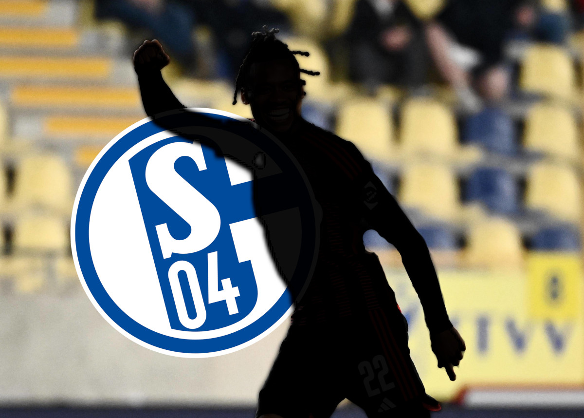FC Schalke 04: Erster Transfercoup schon fix? ER soll kommen, wenn S04 die Klasse hält