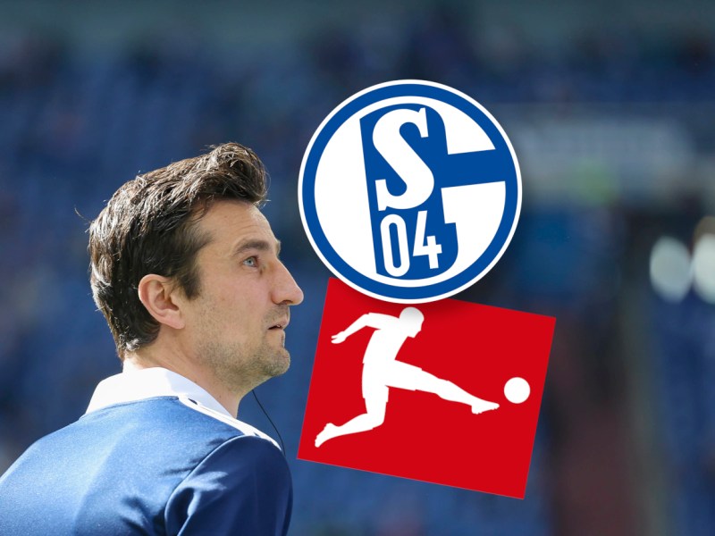 FC Schalke 04 atmet auf: DFL verkündet wichtige Entscheidung