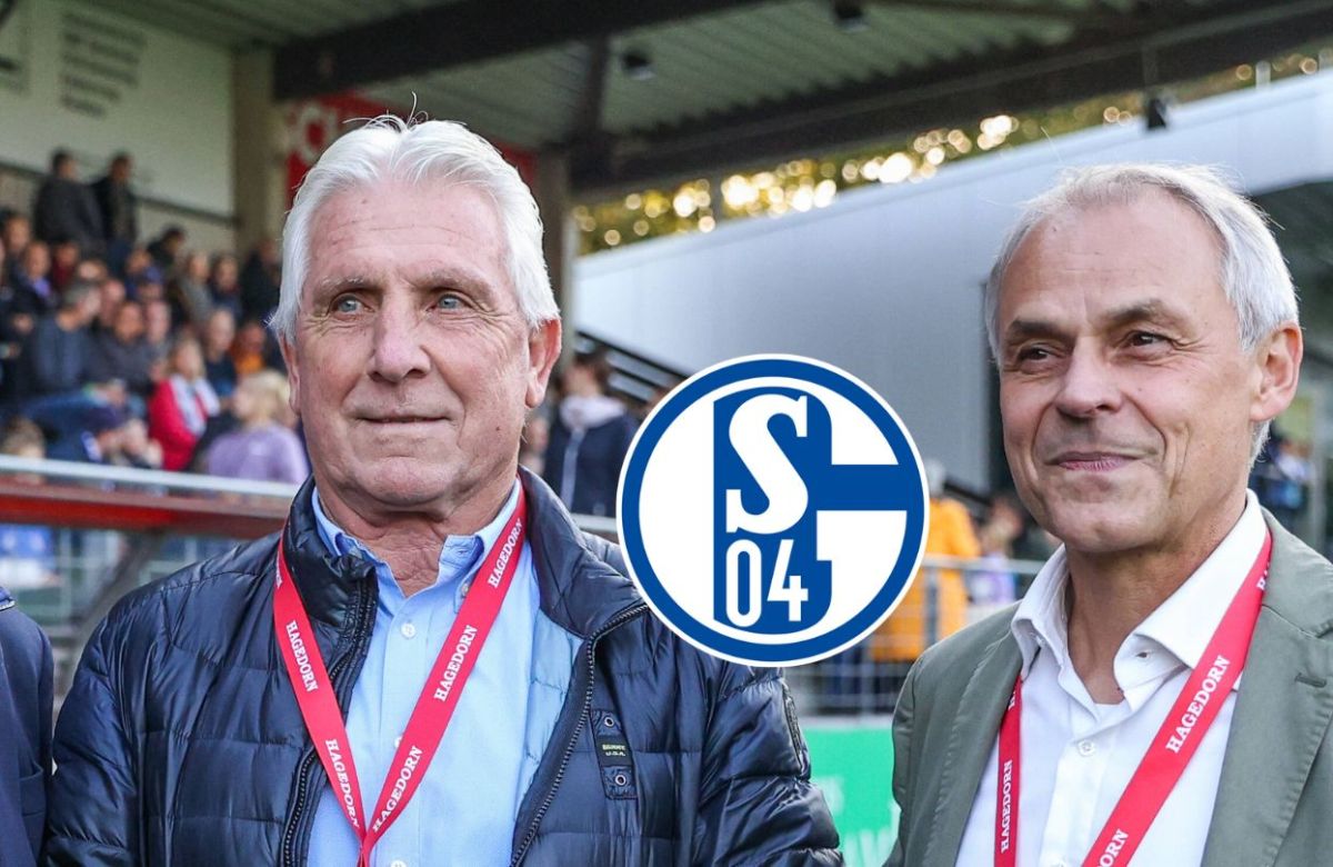 Schalke 04 - Figure 1