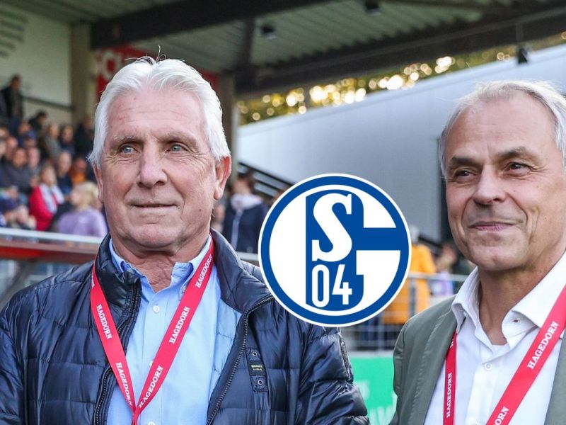 FC Schalke 04 macht es offiziell! Klub-Legende wird Co-Trainer bei S04
