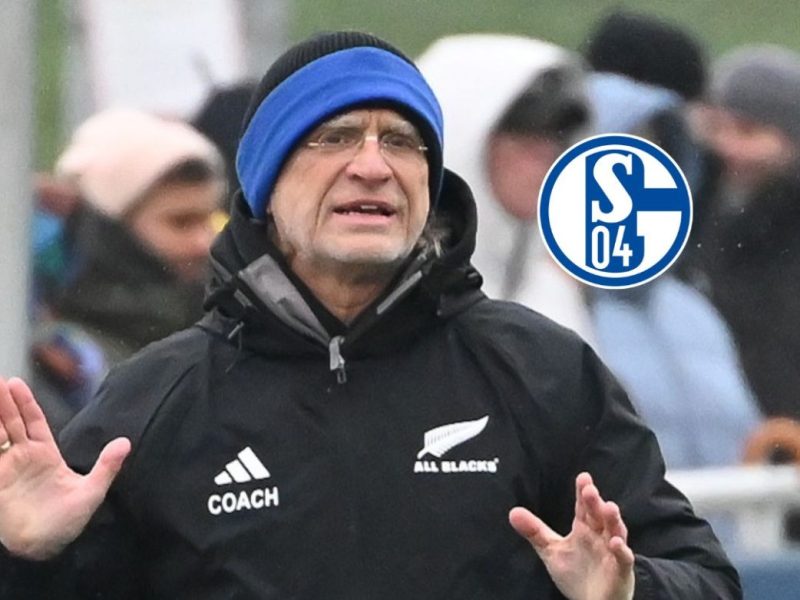 Drei Talente für Schalke! Königsblau macht es offiziell