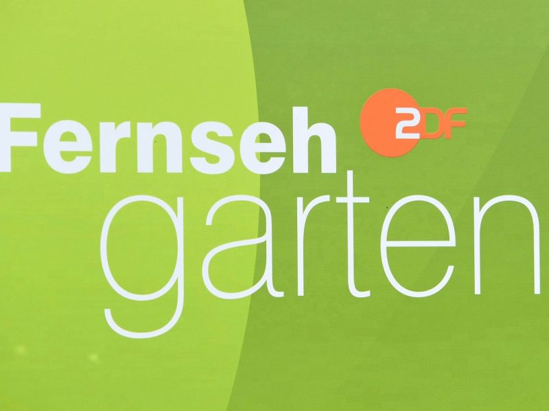 ZDF-„Fernsehgarten“ Gäste: DIESE Stars sind in der Sendung am 19. Mai 2024 dabei