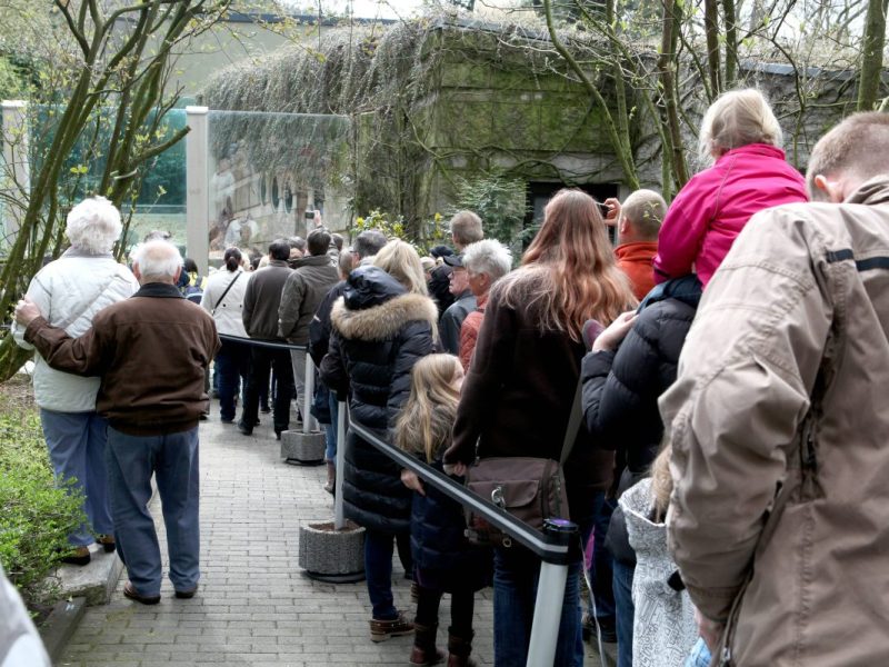 Großer Aufruhr in NRW-Zoo – Feuerwehr muss mit schwerem Gerät anrücken