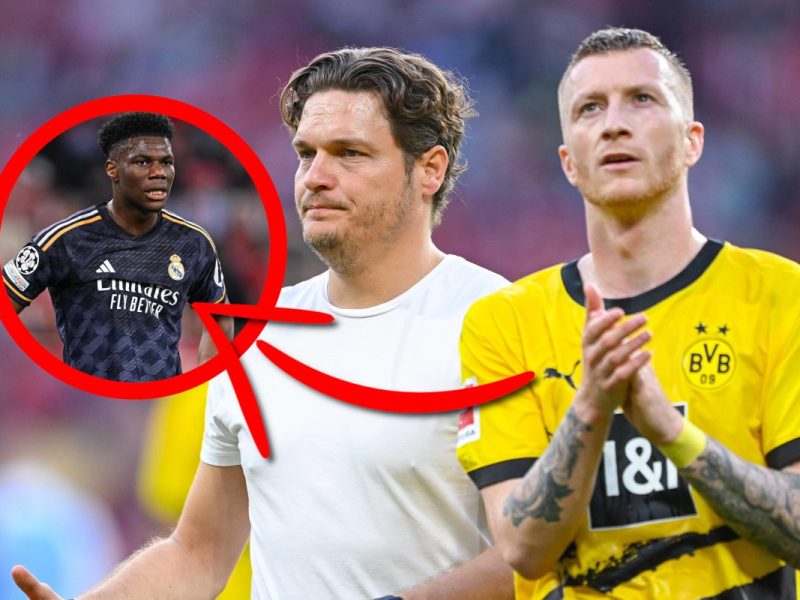 Borussia Dortmund schaut genau hin – alarmierende Bilder vor Champions-League-Finale
