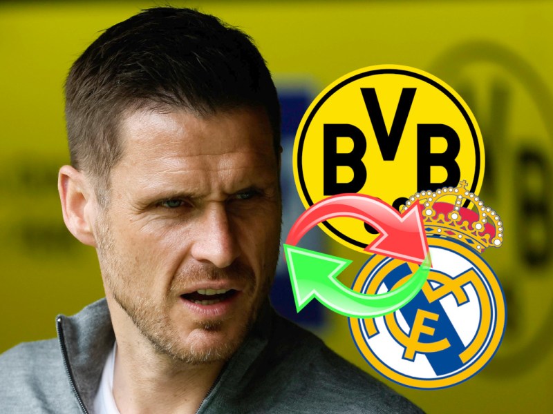 Borussia Dortmund lässt die Katze aus dem Sack – BVB schnappt sich Talent mit genialem Trick