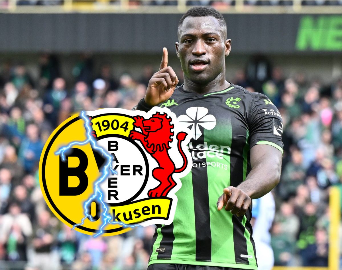 BVB Bayer Leverkusen Denkey