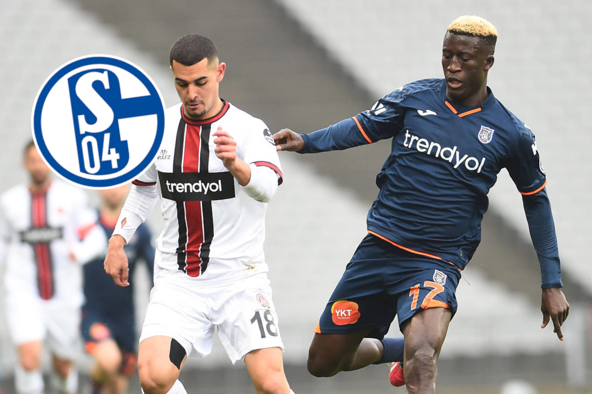 Verdient der FC Schalke 04 an Levent Mercan?