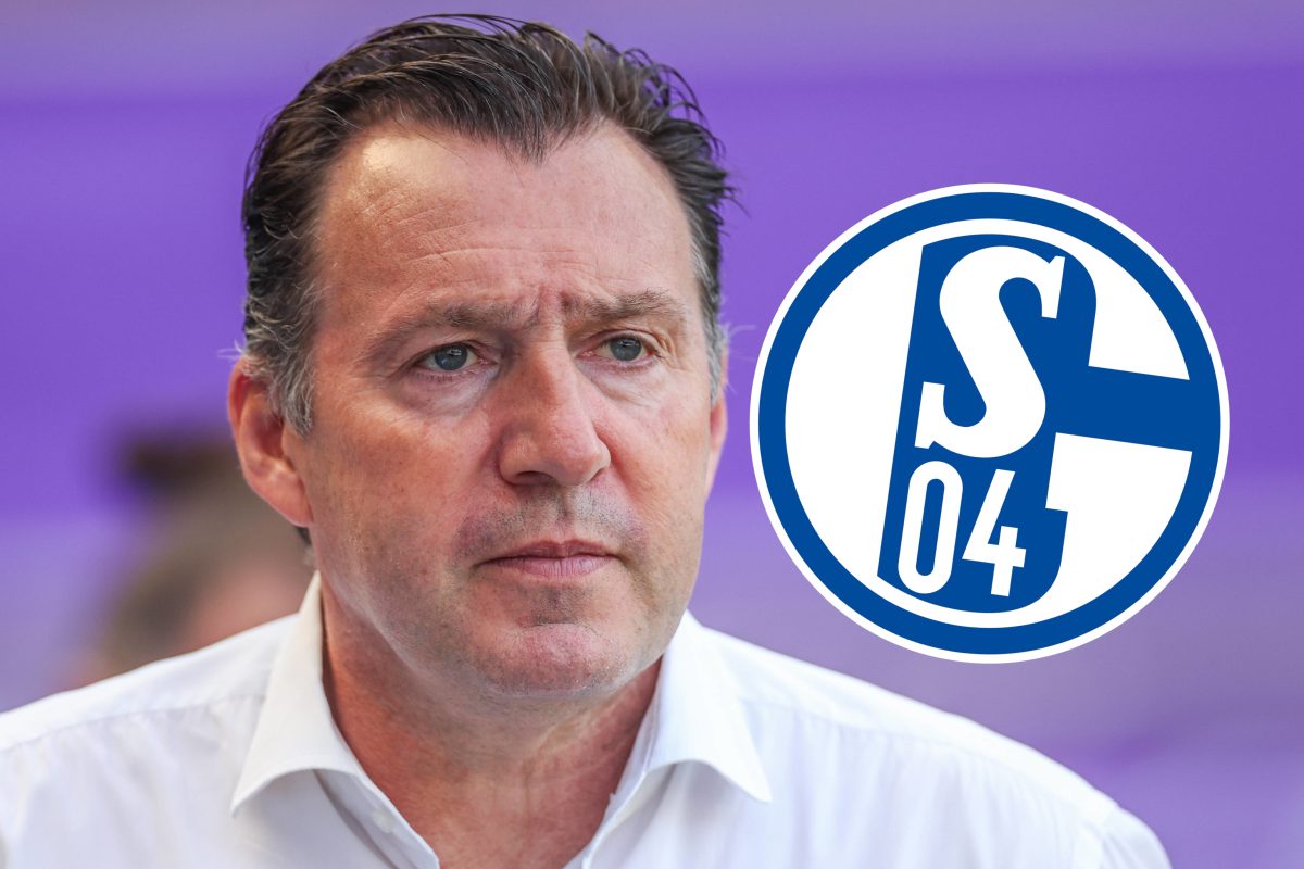 FC Schalke 04: Sportdirektor Marc Wilmots darf sich über zusätzliche finanzielle Mittel freuen.