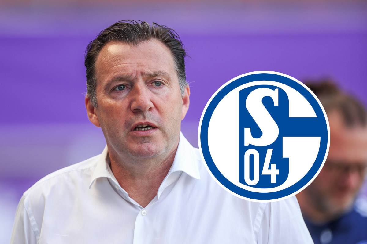 FC Schalke 04 Wilmots