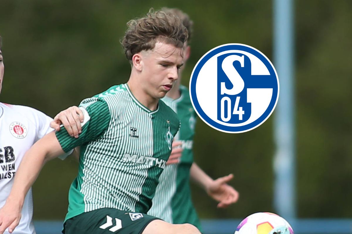FC Schalke 04: Transfer-Coup! S04 schnappt sich Mega-Talent