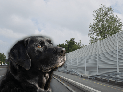 Ein Hund in NRW sorgt auf der A44 für einen Großeinsatz (Symbolbild).