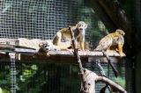 Zoo Dortmund: Wilde Aktion irritiert Vater.