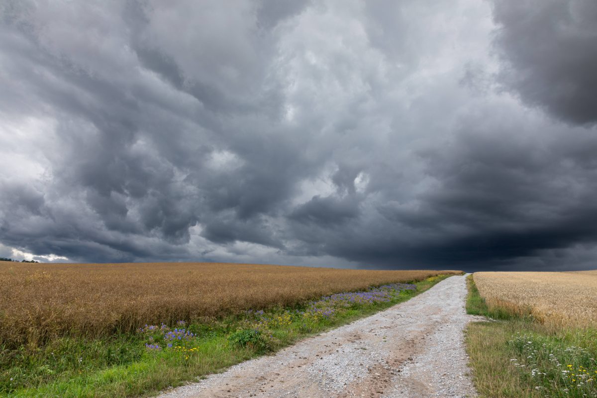 Wetter in NRW: Unwetter-Alarm – „Das macht das Ganze so gefährlich“
