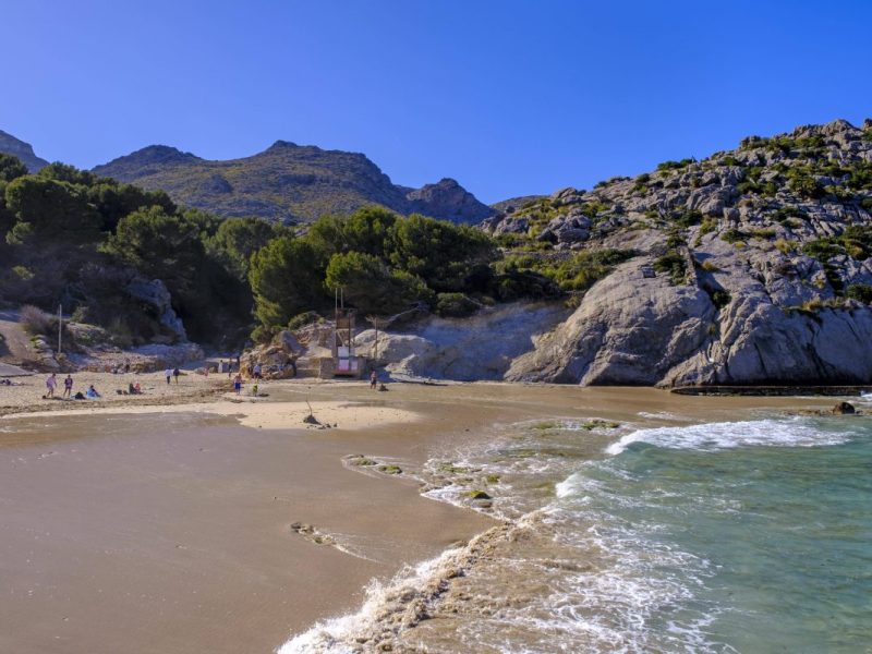 Urlaub auf Mallorca: Aufruhr am Strand! Touristen trauen ihren Augen kaum