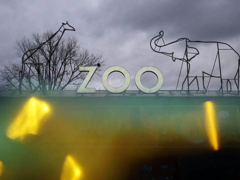 Zoo in NRW macht es offiziell – jetzt darf es jeder wissen