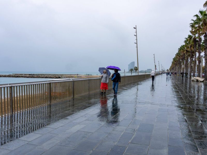 Wetter auf Mallorca: Irre Wende – Urlauber müssen ganz stark sein
