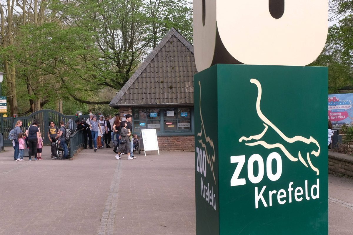 In diesem NRW-Zoo gab es einen ungewöhnlichen Fund.