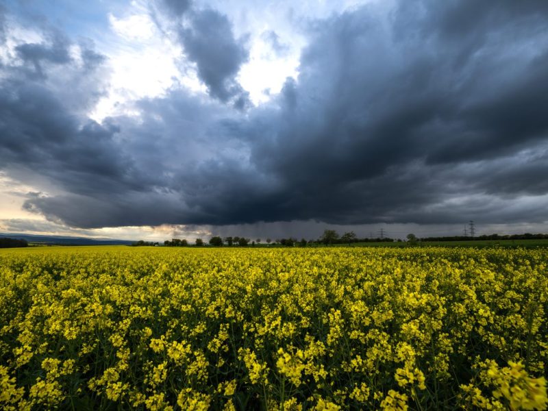Wetter in NRW macht Rolle rückwärts – Experte: „Heftig“