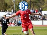 Der FC Schalke 04 bastelt weiter am Kader für die neue Saison. Dabei könnte auch ein Spieler aus dem Nachbarland interessant sein.