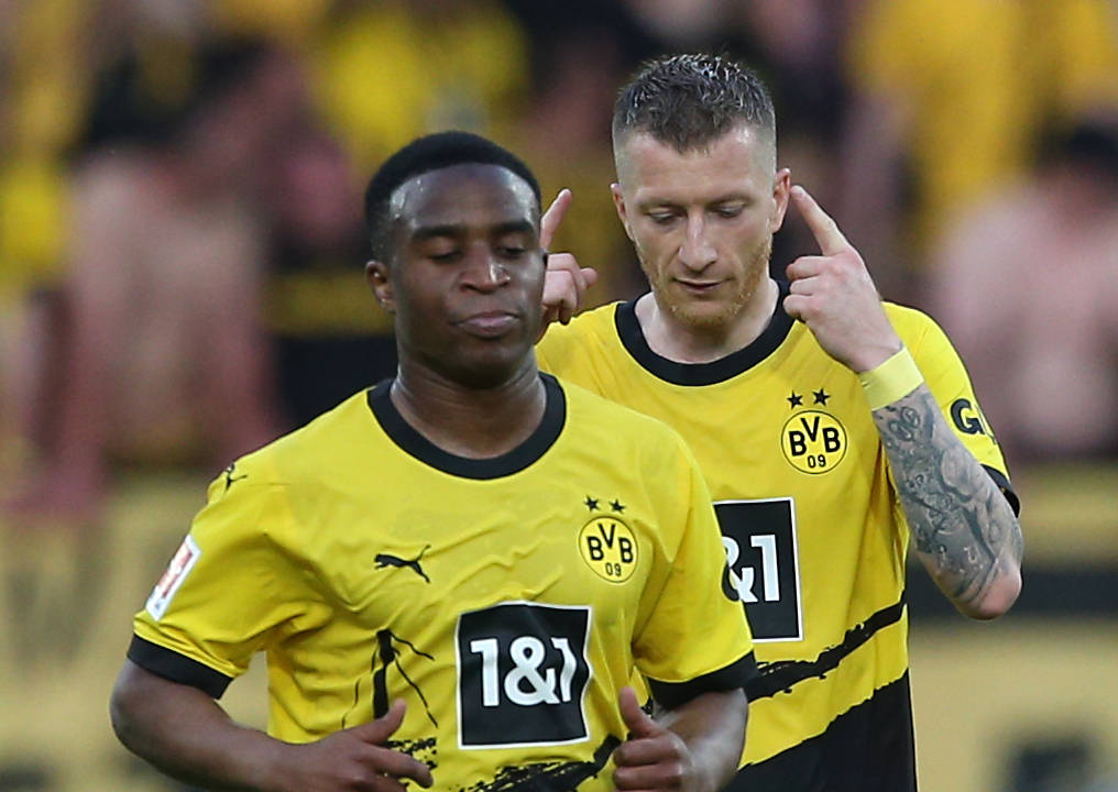 Borussia Dortmund geschlagen – einen Verein freut es tierisch.