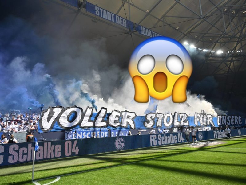 FC Schalke 04: Das gab es noch nie! Fans lassen die Fußball-Welt staunen