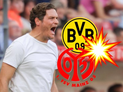Beim Mainz 05 gegen Borussia Dortmund traute Edin Terzic seinen Augen nicht.