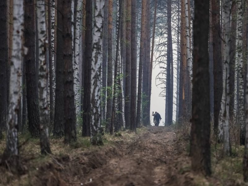 Tierheim in NRW macht schockierenden Fund im Wald – „Bis der Tod uns scheidet“