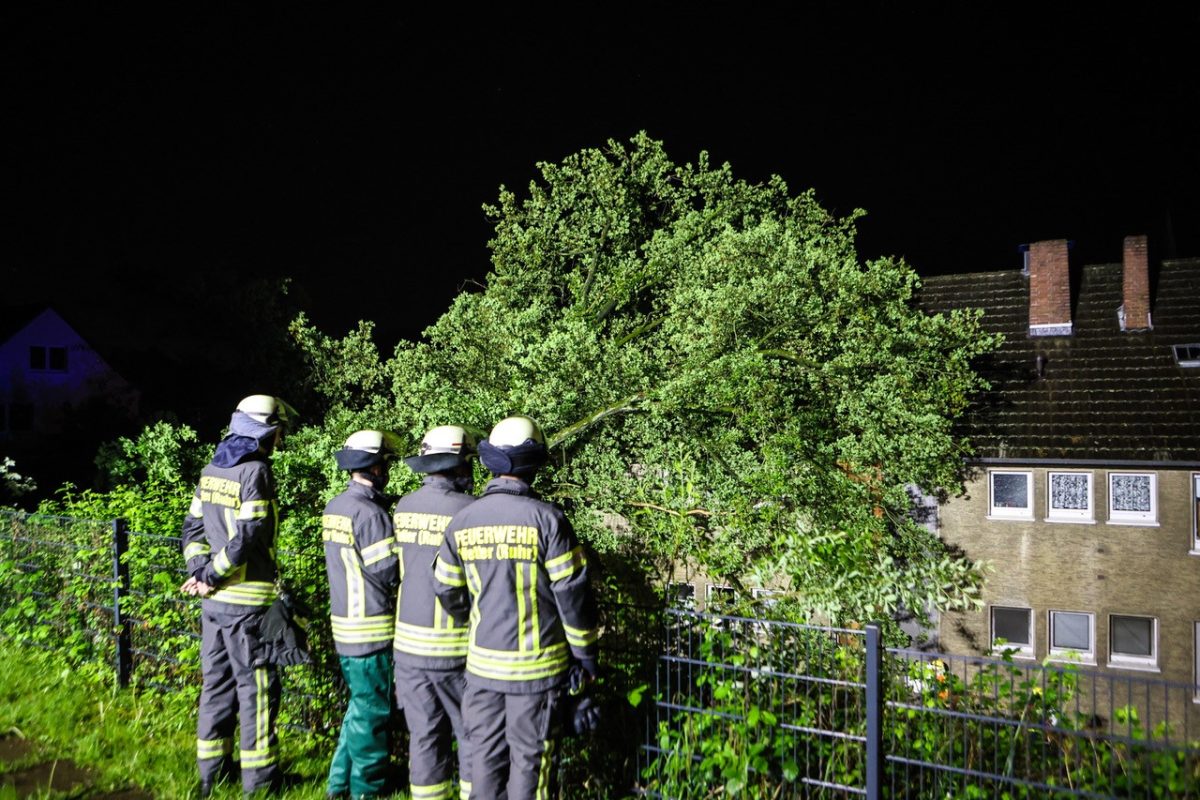 Baum stürzt auf Wohnhaus.