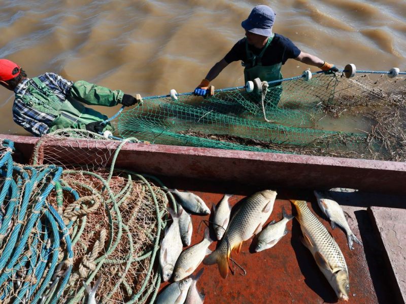 Urlaub in Kroatien: Fischer macht Grusel-Fund – Gefahr breitet sich an der Adria aus!