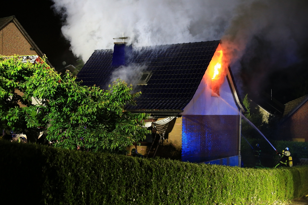 Hausbrand Bommeregge