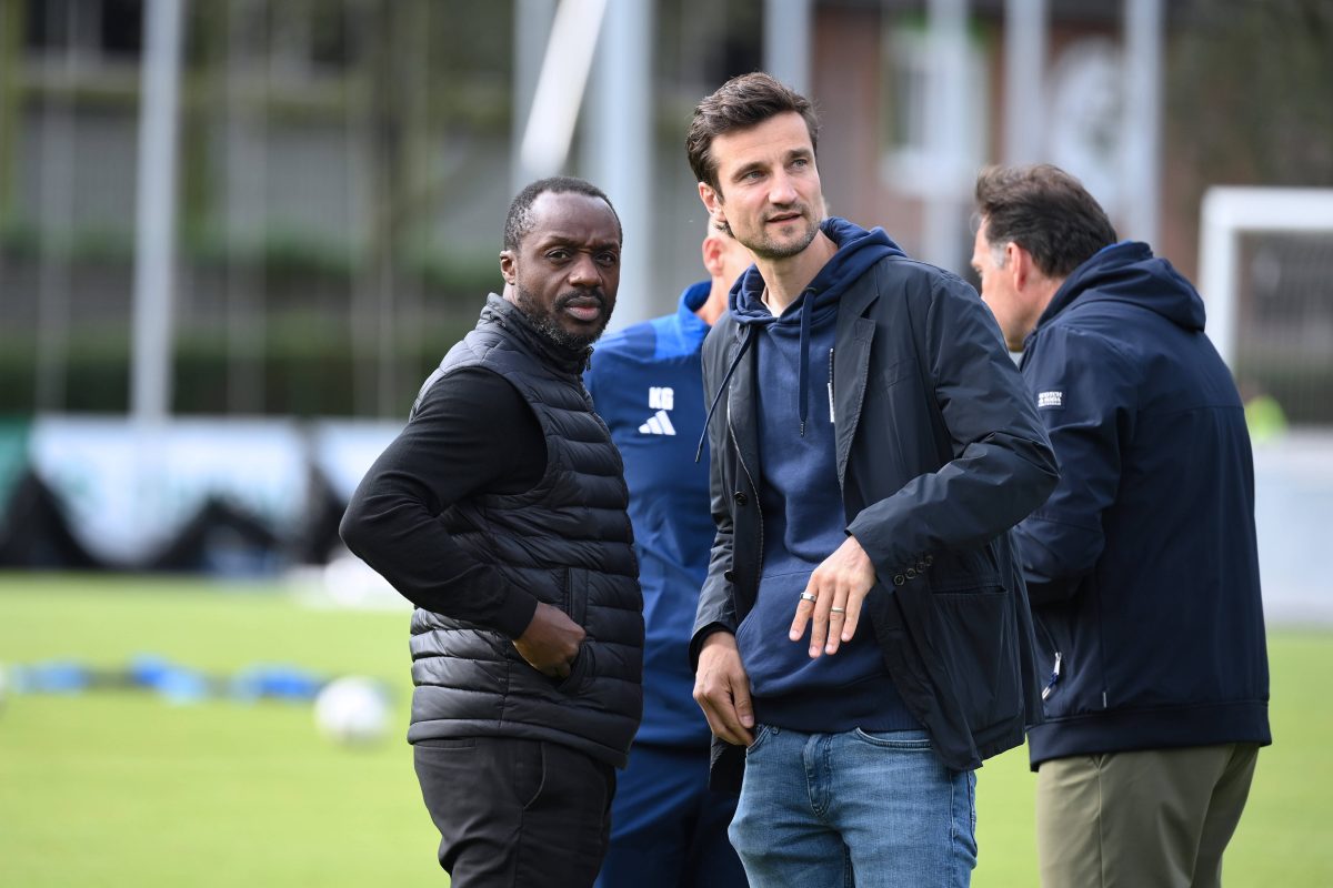FC Schalke 04: Tillemann con un gran anuncio en camino: los aficionados están enloquecidos