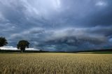 Unwetter-Aufruhr in NRW: War das wirklich ein Tornado? Deutscher Wetterdienst prÃ¼ft das PhÃ¤nomen.