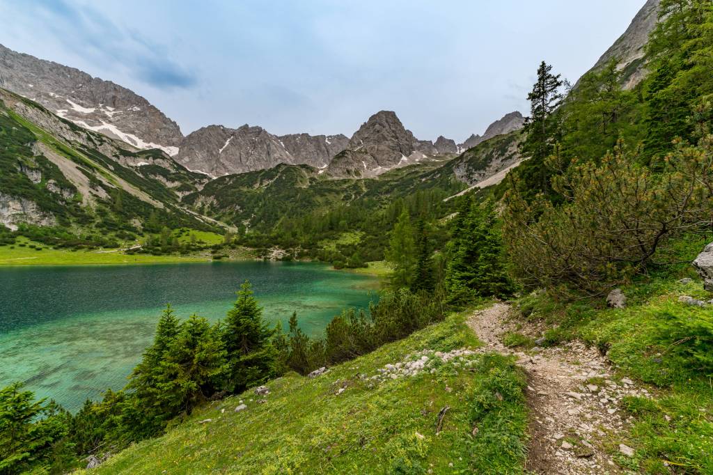 Wald mit Bergen und See