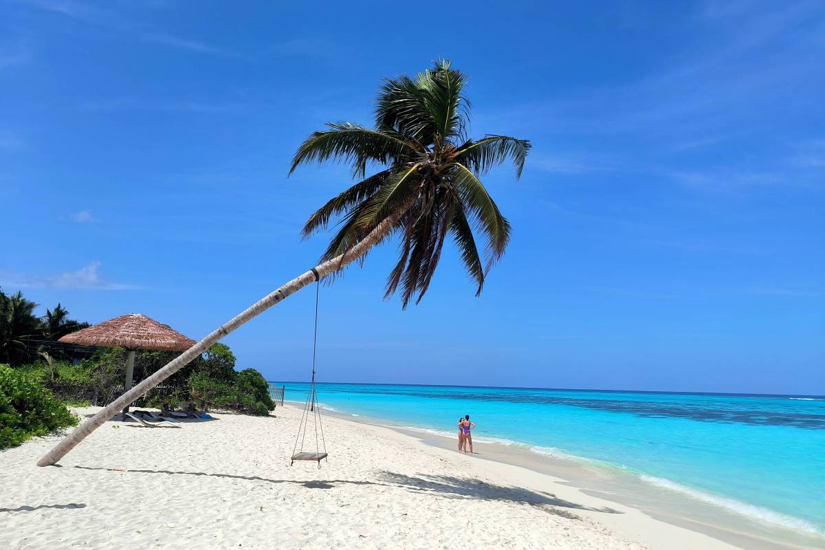Palme an weißem Sandstrand mit klarem Himmel.