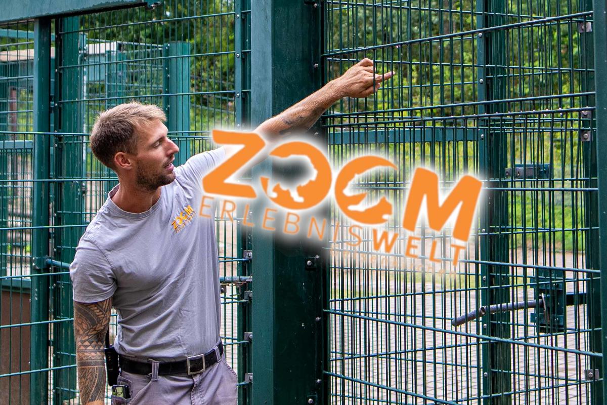 Zoom Gelsenkirchen