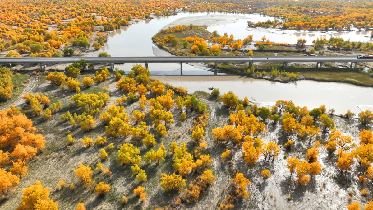 Tarim River Bridge