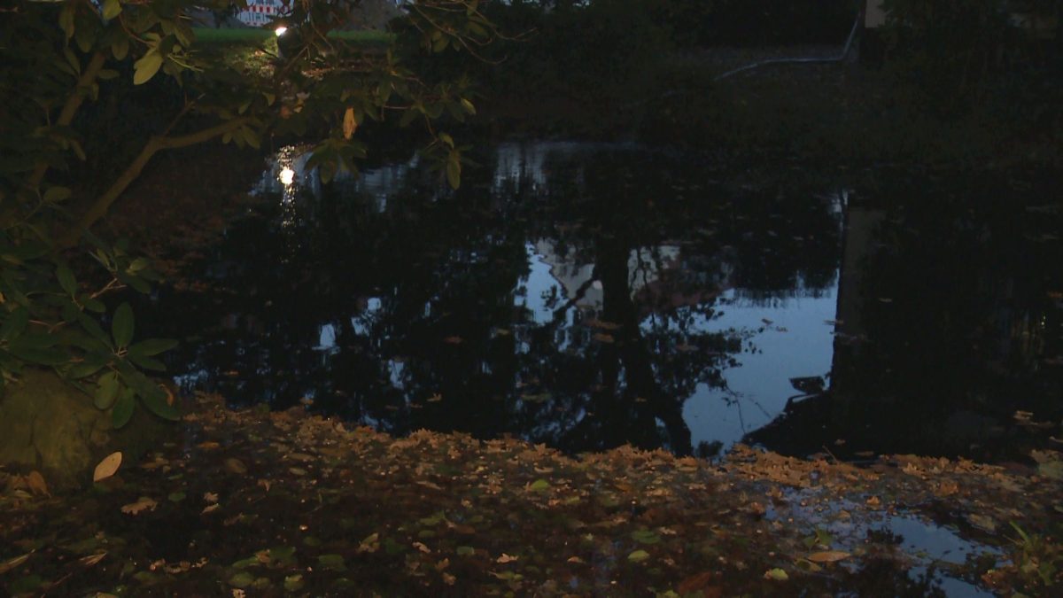 NRW Kinder drohen in Teich zu ertrinken ++ Rettungshubschrauber im