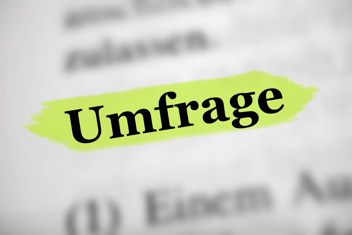 Bundestagswahl: Wie funktionieren Umfragen?