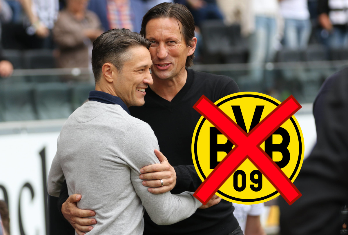BVB Schmidt