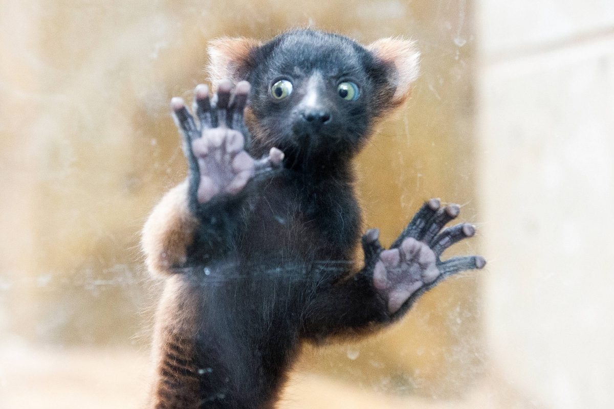 Zoo in NRW spricht über 