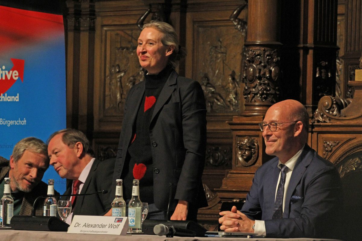 Wegen einer Großspende an die AfD werden Ermittlungen gefordert.