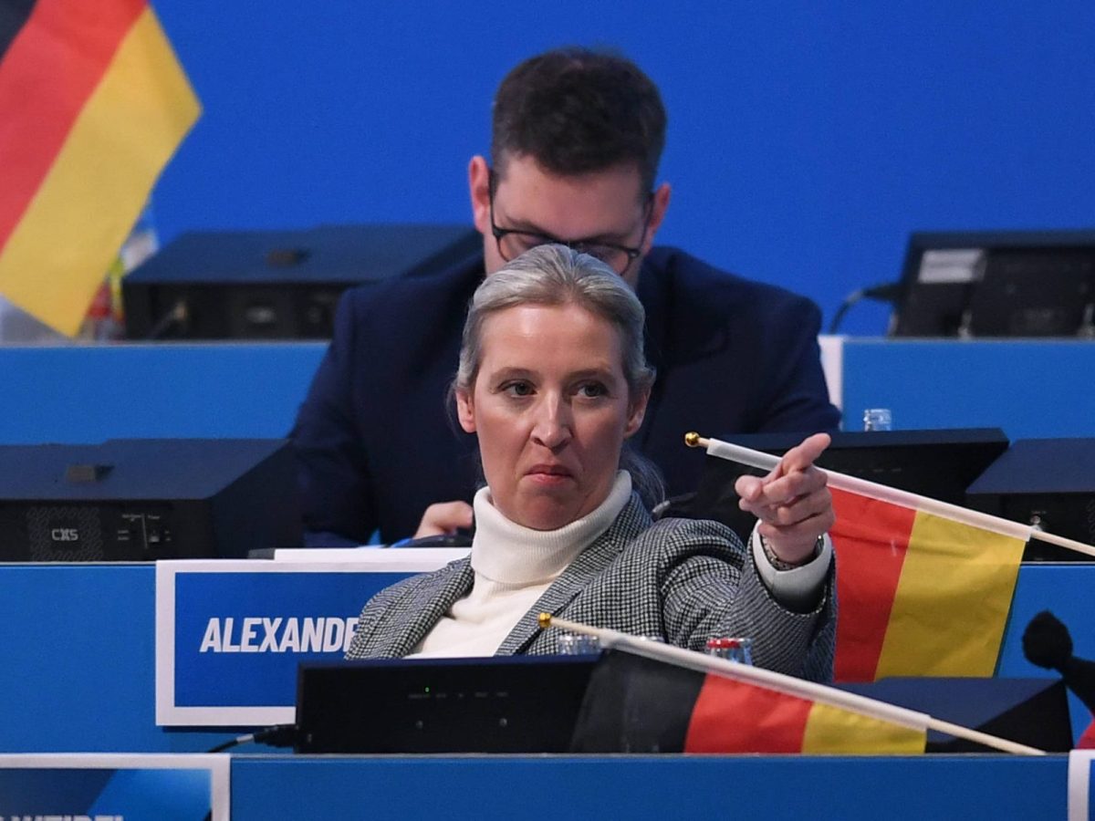 Die AfD scheint von dem Fünf-Punkte-Plan zu profitieren.