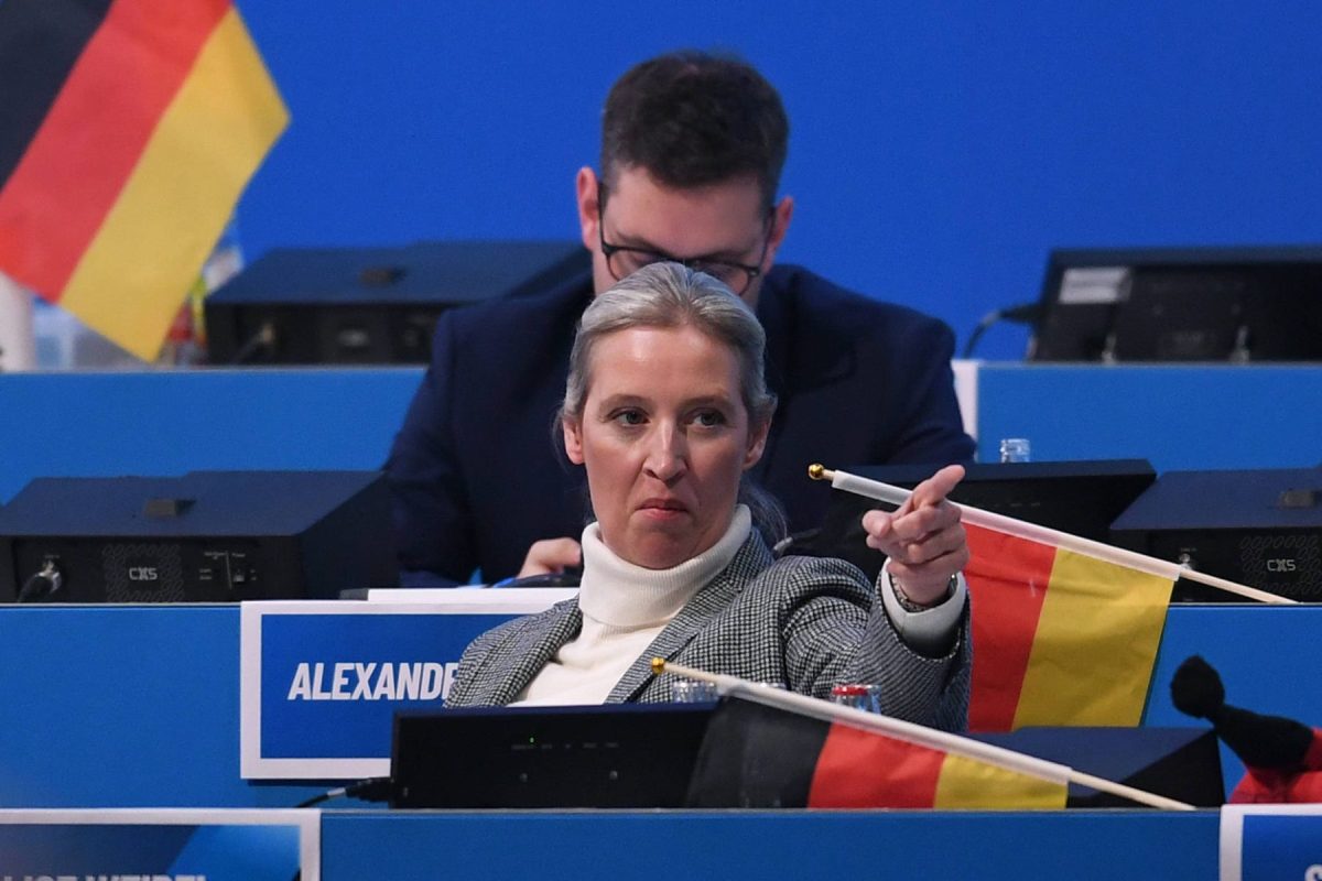 Die AfD scheint von dem Fünf-Punkte-Plan zu profitieren.