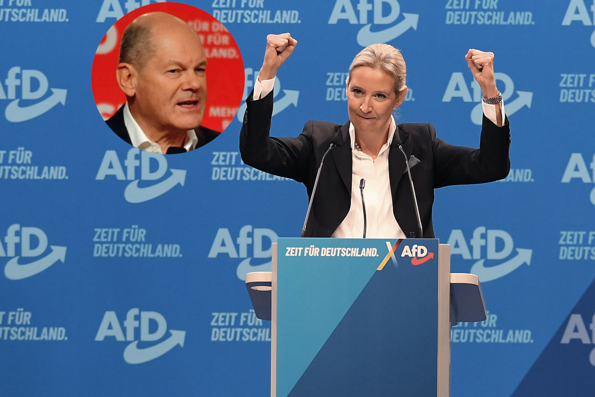 Die AfD-Unterstützung von Musk bringt Scholz auf 180.
