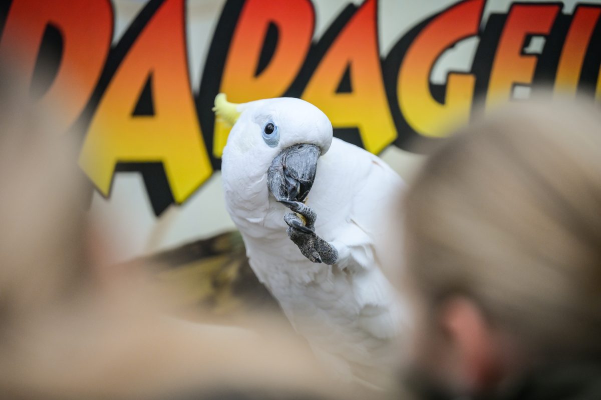 Papageiencafé Bochum