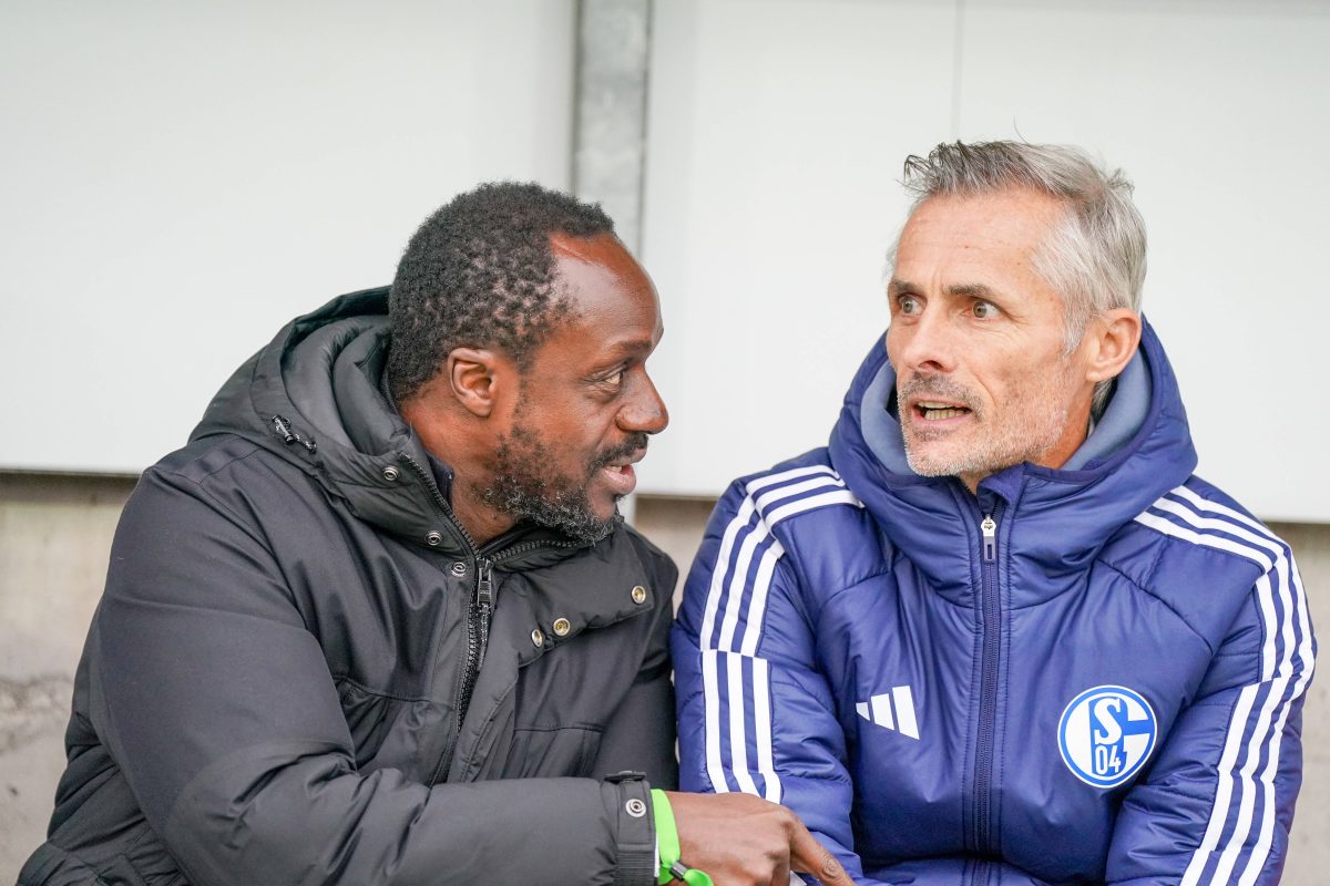 Schlägt der FC Schalke 04 noch einmal auf dem Transfermarkt zu? Trainer Kees van Wonderen lässt aufhorchen. Die Fans hören genau hin.